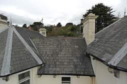 fkillineybeforeexternal 1525.jpg
